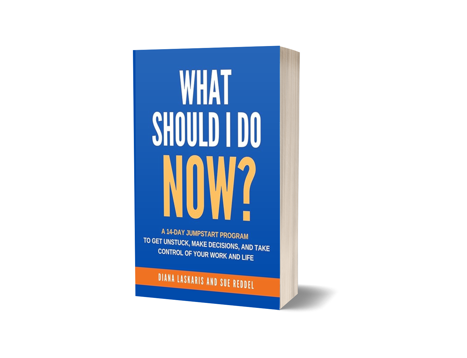 What Should I Do Now Book Cover