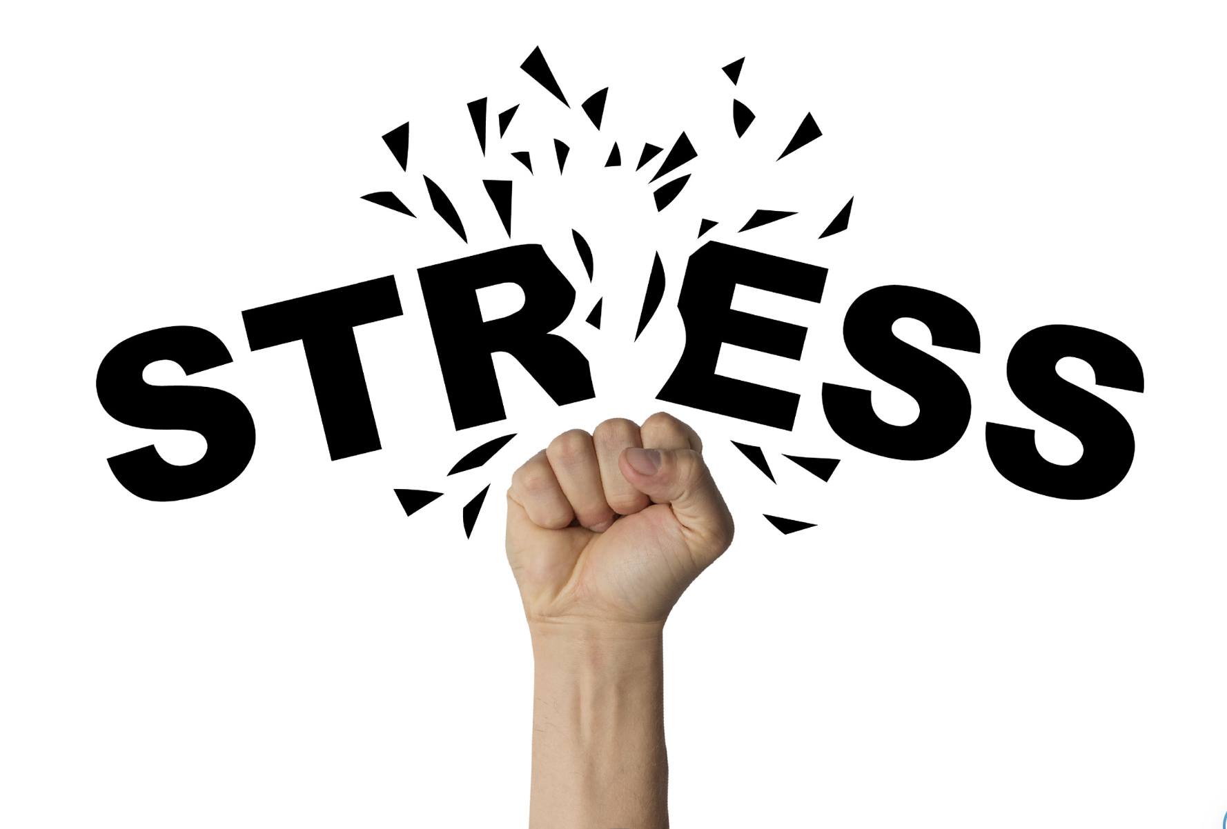 WHY STRESS DOES NOT JUST GO AWAY Part 3
